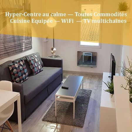 Appartement "Gabrielle" Au Calme En Hypercentre De Revel ريفيل المظهر الخارجي الصورة